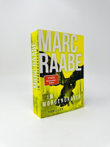 Buchcover und Innenansicht für das Buch: Im Morgengrauen