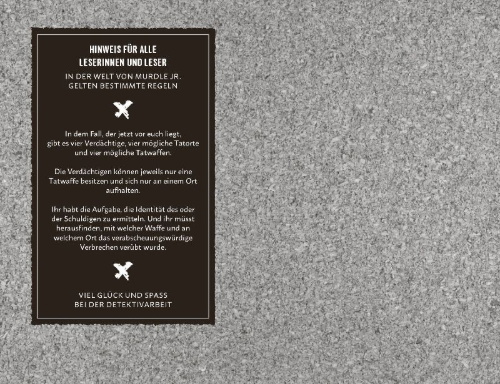 Buchcover und Innenansicht für das Buch: Sleuths on the loose