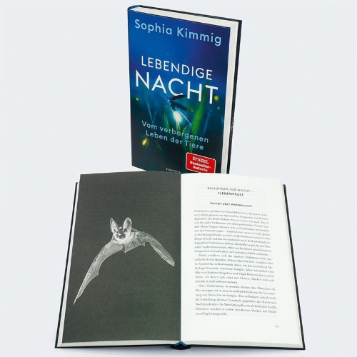 Buchcover und Innenansicht für das Buch: Lebendige Nacht