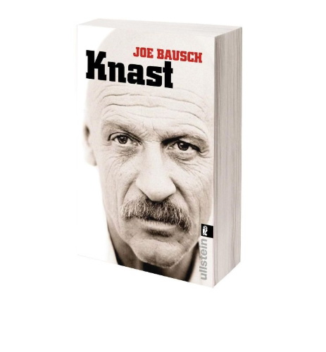 Buchcover und Innenansicht für das Buch: Knast