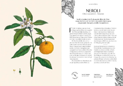 Buchcover und Innenansicht für das Buch: Duft