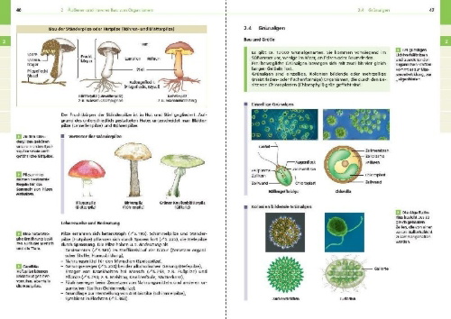 Buchcover und Innenansicht für das Buch: Basiswissen Schule - Biologie 5. bis 10. Klasse