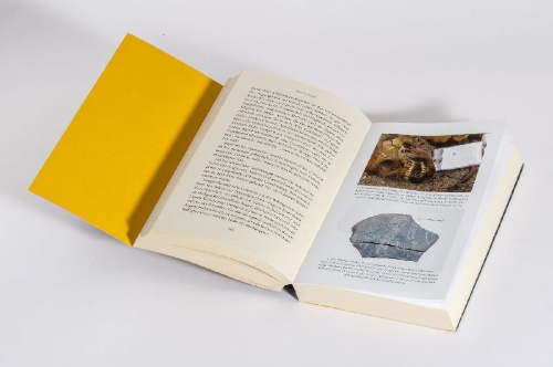 Buchcover und Innenansicht für das Buch: Embers of the Hands
