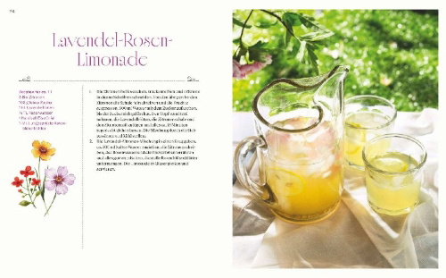 Buchcover und Innenansicht für das Buch: Picknick mit Jane Austen