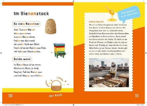 Buchcover und Innenansicht für das Buch: Dein Lesestart: Weißt du schon alles über Bienen? Ab 1. Klasse