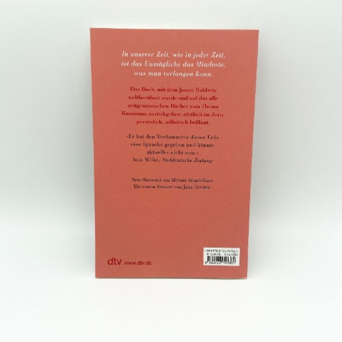 Buchcover und Innenansicht für das Buch: The Fire Next Time