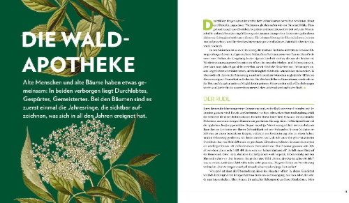 Buchcover und Innenansicht für das Buch: Die sanfte Medizin der Bäume