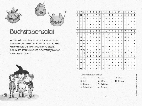 Buchcover und Innenansicht für das Buch: Petronella Apfelmus - Hexenbuch und Schnüffelnase (Sonderausgabe)