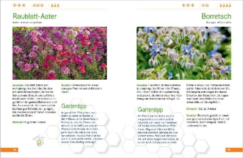 Buchcover und Innenansicht für das Buch: Die schönsten Pflanzen für Bienen und Hummeln. Für Garten, Balkon & Terrasse