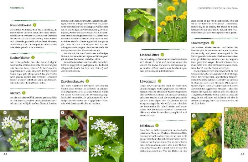 Buchcover und Innenansicht für das Buch: Der Selbstversorger: Mein Gartenwissen
