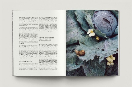 Buchcover und Innenansicht für das Buch: Zu den Wiesen