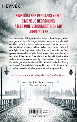 Buchcover und Innenansicht für das Buch: Daylight - Atlee Pine 3