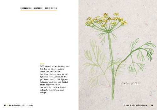 Buchcover und Innenansicht für das Buch: Meine kleine Kräuterkunde