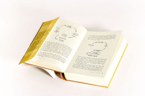 Buchcover und Innenansicht für das Buch: Dopamine Kids