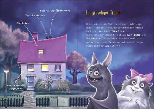 Buchcover und Innenansicht für das Buch: Vincent stürmt Schloss Geisterwald (Band 4)