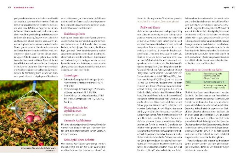 Buchcover und Innenansicht für das Buch: Handbuch Bio-Obst