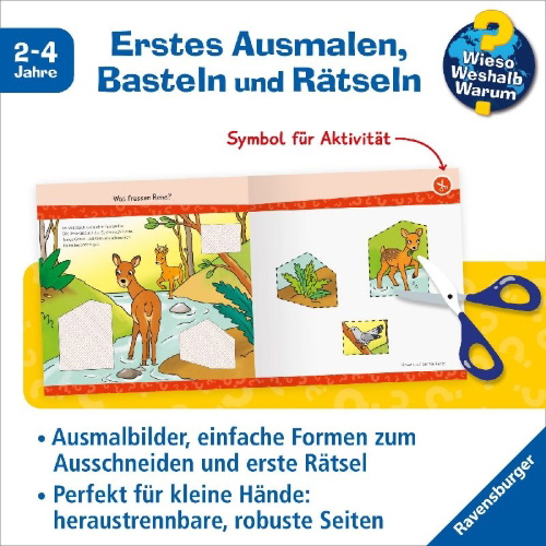 Buchcover und Innenansicht für das Buch: Wieso? Weshalb? Warum? junior AKTIV - Im Wald