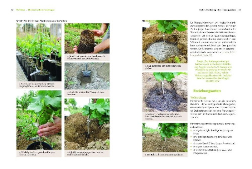 Buchcover und Innenansicht für das Buch: Bio-Wein im eigenen Garten
