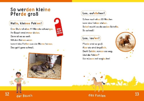 Buchcover und Innenansicht für das Buch: Dein Lesestart: Weißt du schon alles über Pferde? Ab 1. Klasse