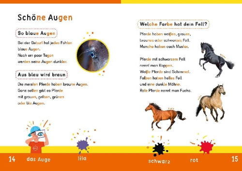 Buchcover und Innenansicht für das Buch: Dein Lesestart: Weißt du schon alles über Pferde? Ab 1. Klasse