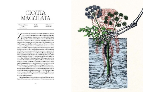Buchcover und Innenansicht für das Buch: Atlas der tödlichen Pflanzen
