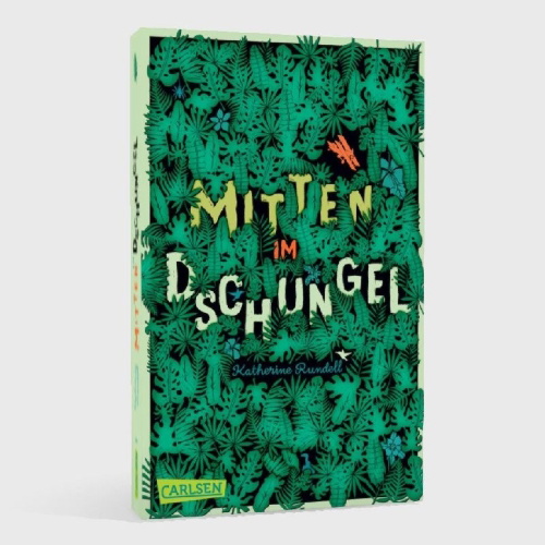 Buchcover und Innenansicht für das Buch: Explorer