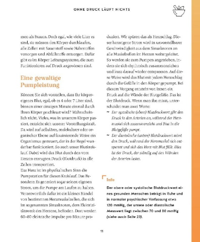 Buchcover und Innenansicht für das Buch: Meine Gesundheitsretter aus der Natur gegen Bluthochdruck